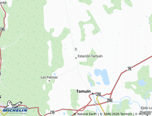 MICHELIN Estación Tamuín map - ViaMichelin