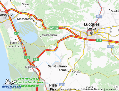 MICHELIN Ripafratta map - ViaMichelin