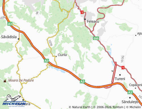 Mappa MICHELIN Săliște - ViaMichelin