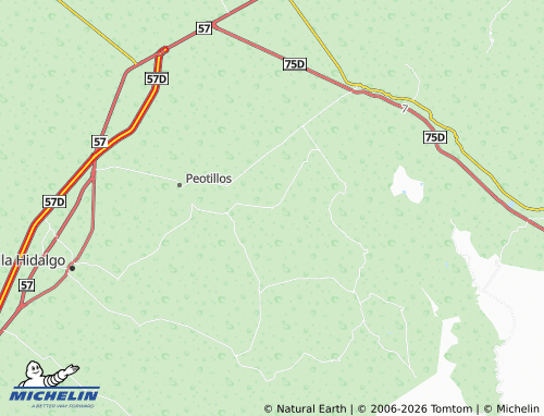 MICHELIN San Antonio map - ViaMichelin