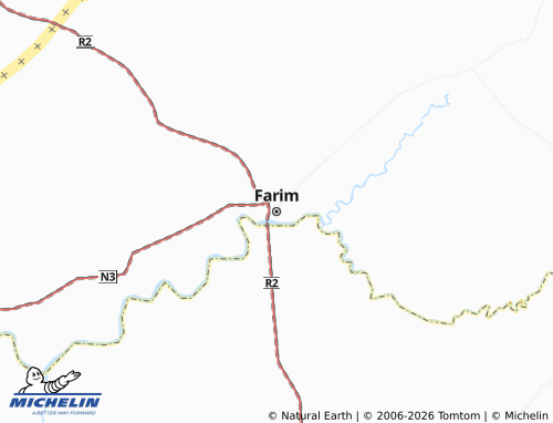 MICHELIN Farim map - ViaMichelin