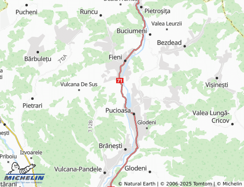 MICHELIN Moțăieni map - ViaMichelin