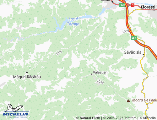 MICHELIN Muntele Rece map - ViaMichelin
