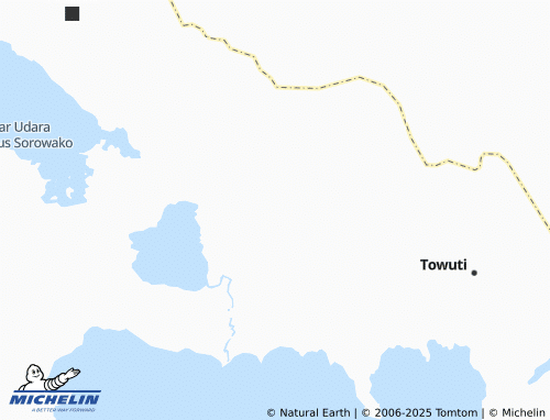 MICHELIN Buangin map - ViaMichelin