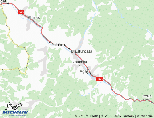 MICHELIN Hângănești map - ViaMichelin