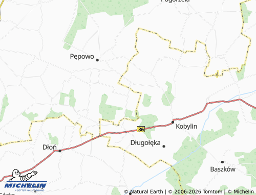 MICHELIN Czeluścin map - ViaMichelin