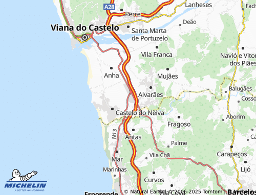 MICHELIN Neiva map - ViaMichelin