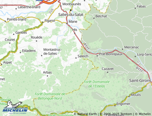 MICHELIN Saleich map - ViaMichelin