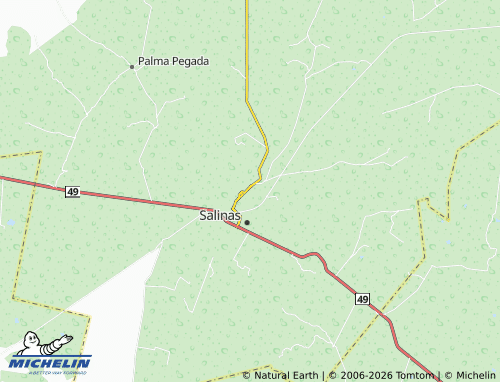 Mapa MICHELIN Cerro Prieto - ViaMichelin