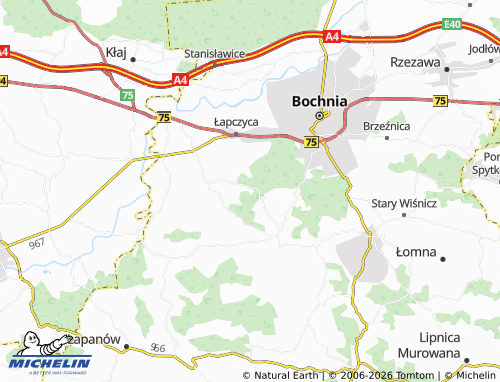 MICHELIN Dąbrowica map - ViaMichelin