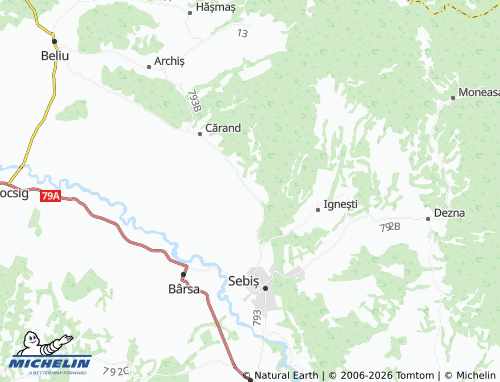 Mappa MICHELIN Prunișor - ViaMichelin