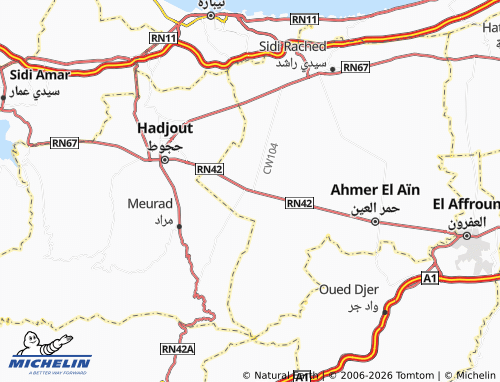Mapa MICHELIN Bourqeeqah - ViaMichelin