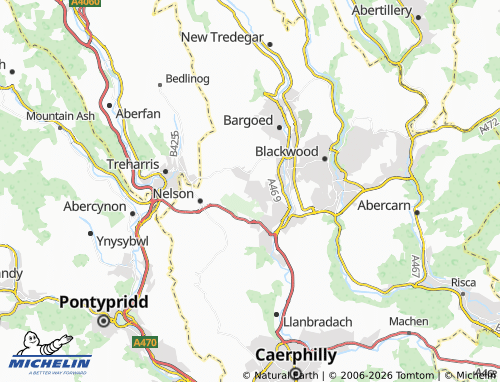 Mappa MICHELIN Penybryn - ViaMichelin