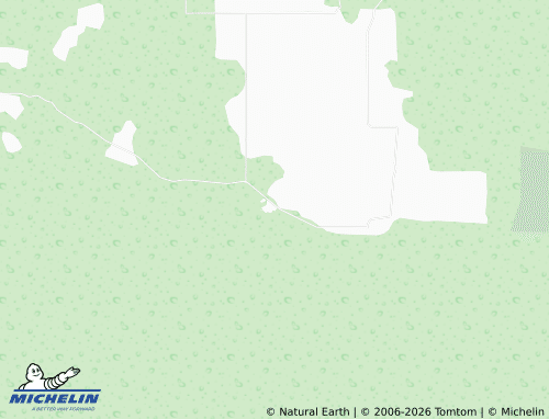 Mapa MICHELIN Miguel Allende - ViaMichelin