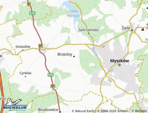 MICHELIN Brzeziny map - ViaMichelin