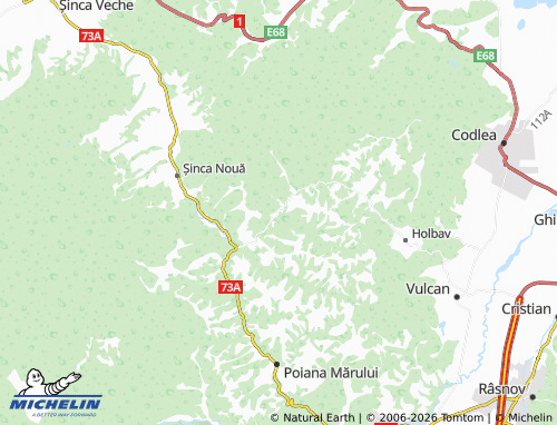 MICHELIN Paltin map - ViaMichelin