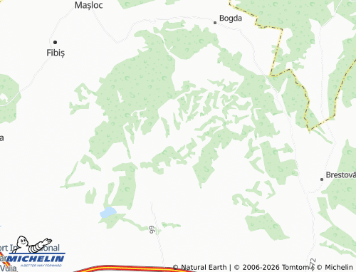 MICHELIN Nadăș map - ViaMichelin