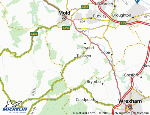 Carte MICHELIN Treuddyn - ViaMichelin