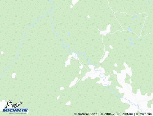 Mappa MICHELIN Junta del Carrizo - ViaMichelin