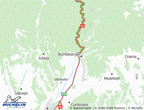 Carte MICHELIN Pleșa - ViaMichelin
