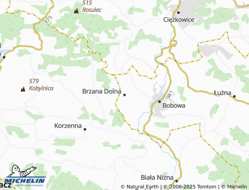 MICHELIN Brzana Dolna map - ViaMichelin
