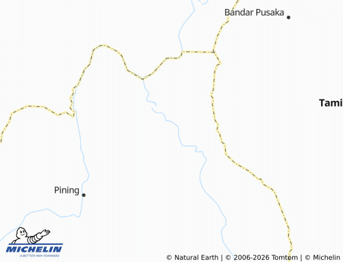MICHELIN Lesten map - ViaMichelin