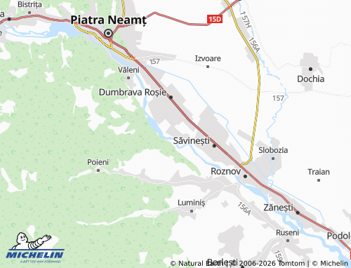 MICHELIN Brășăuți map - ViaMichelin