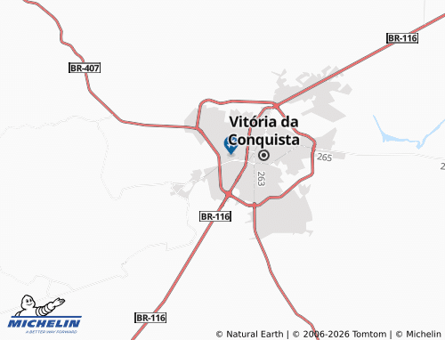 MICHELIN Patagônia map - ViaMichelin
