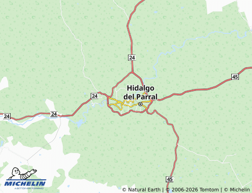 Mapa MICHELIN Ricardo Flores Magón - ViaMichelin
