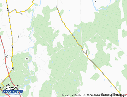 Mappa MICHELIN Valle Hidalgo - ViaMichelin
