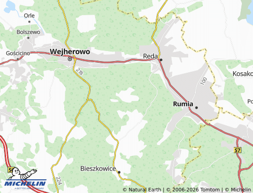 Carte MICHELIN Gniewowo - ViaMichelin