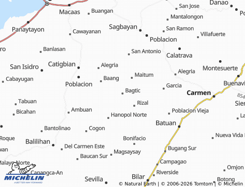 MICHELIN Bagtic map - ViaMichelin
