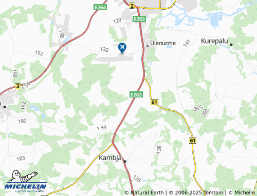 MICHELIN Lepiku map - ViaMichelin
