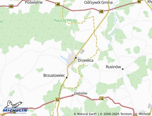 MICHELIN Drzewica map - ViaMichelin