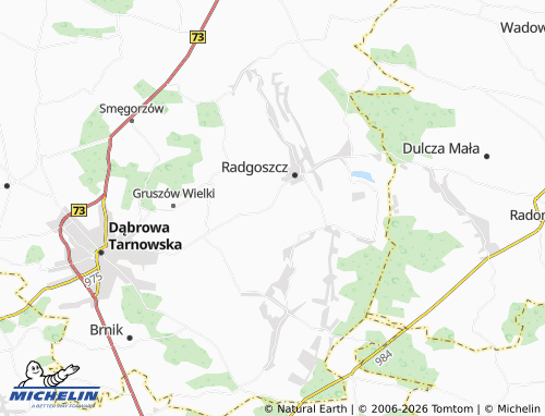 MICHELIN Żdżary map - ViaMichelin