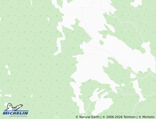 MICHELIN El Salto map - ViaMichelin