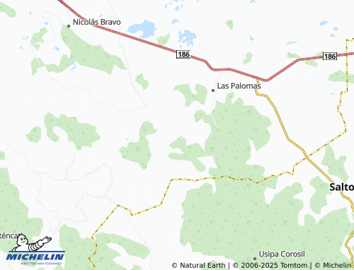 MICHELIN Profesor Caparroso Segunda Sección map - ViaMichelin