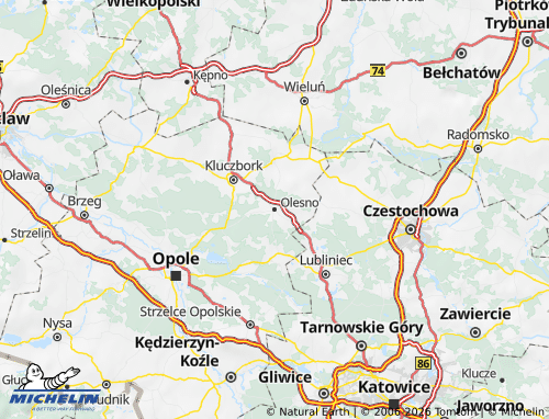 Carte MICHELIN Oleski - ViaMichelin
