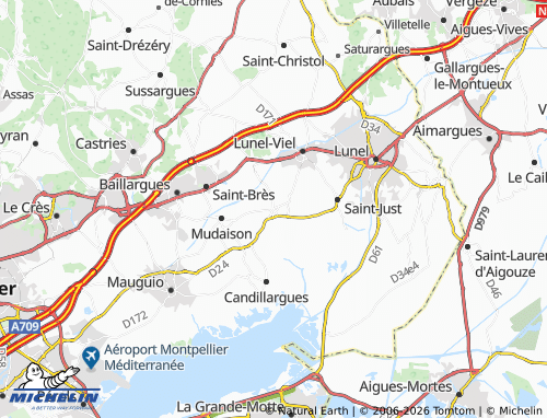Mappa MICHELIN Lansargues - ViaMichelin