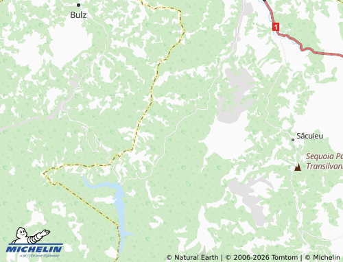 Carte MICHELIN Lunca Vișagului - ViaMichelin