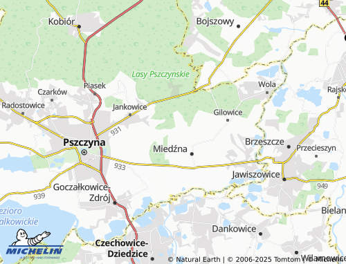 MICHELIN-Landkarte Bodzów - ViaMichelin