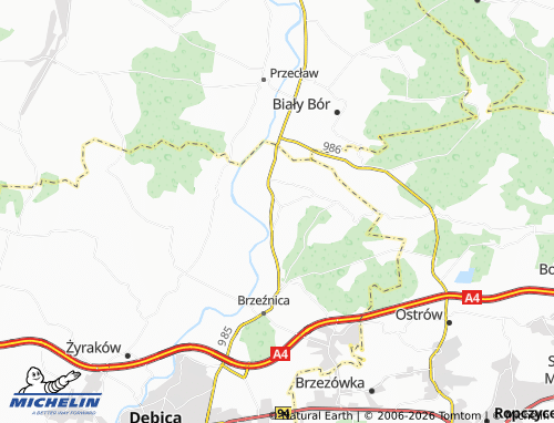 MICHELIN Pustków map - ViaMichelin