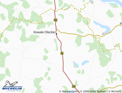 MICHELIN Daniele map - ViaMichelin