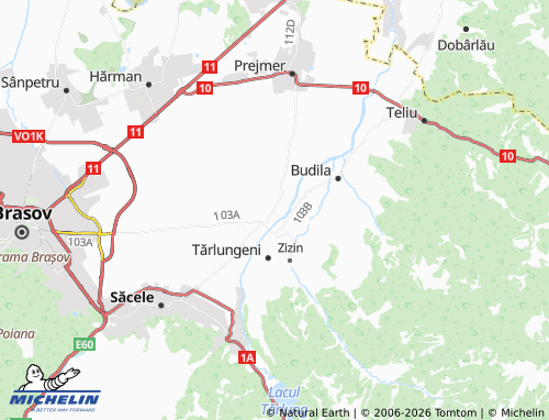 Carte MICHELIN Cărpiniș - ViaMichelin