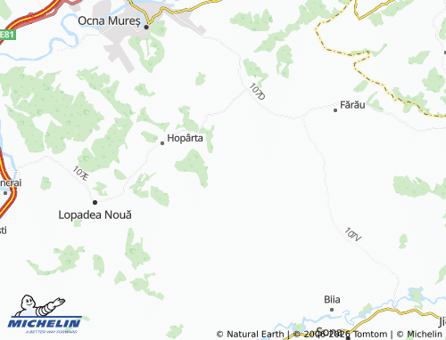 MICHELIN Turdaș map - ViaMichelin