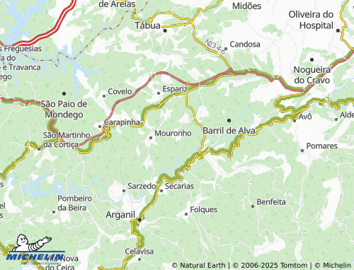 MICHELIN Meda de Mouros map - ViaMichelin