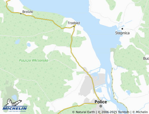 MICHELIN Niekłończyca map - ViaMichelin