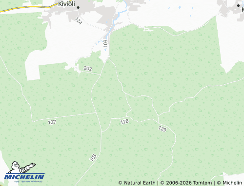 Carte MICHELIN Aruküla - ViaMichelin