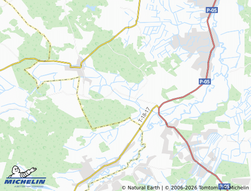 Mappa MICHELIN Pidlisne - ViaMichelin
