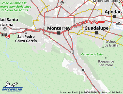 MICHELIN Connexity map - ViaMichelin